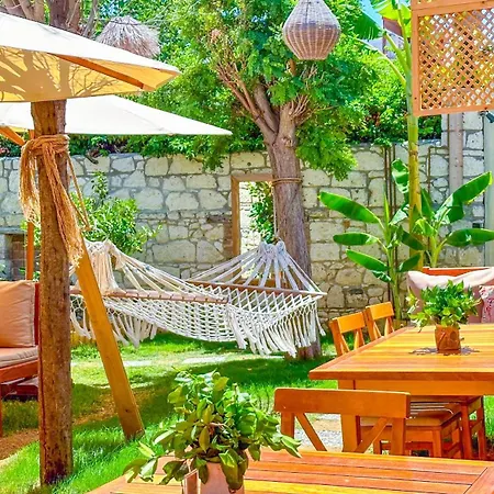 Wellness Garden *