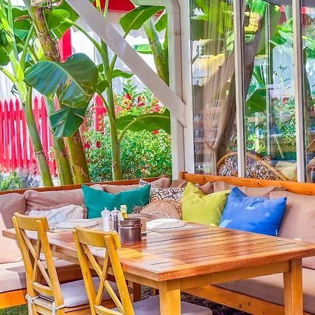 Wellness Garden Отель *