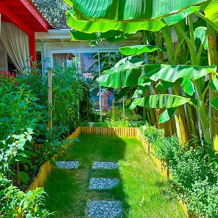 Wellness Garden Отель